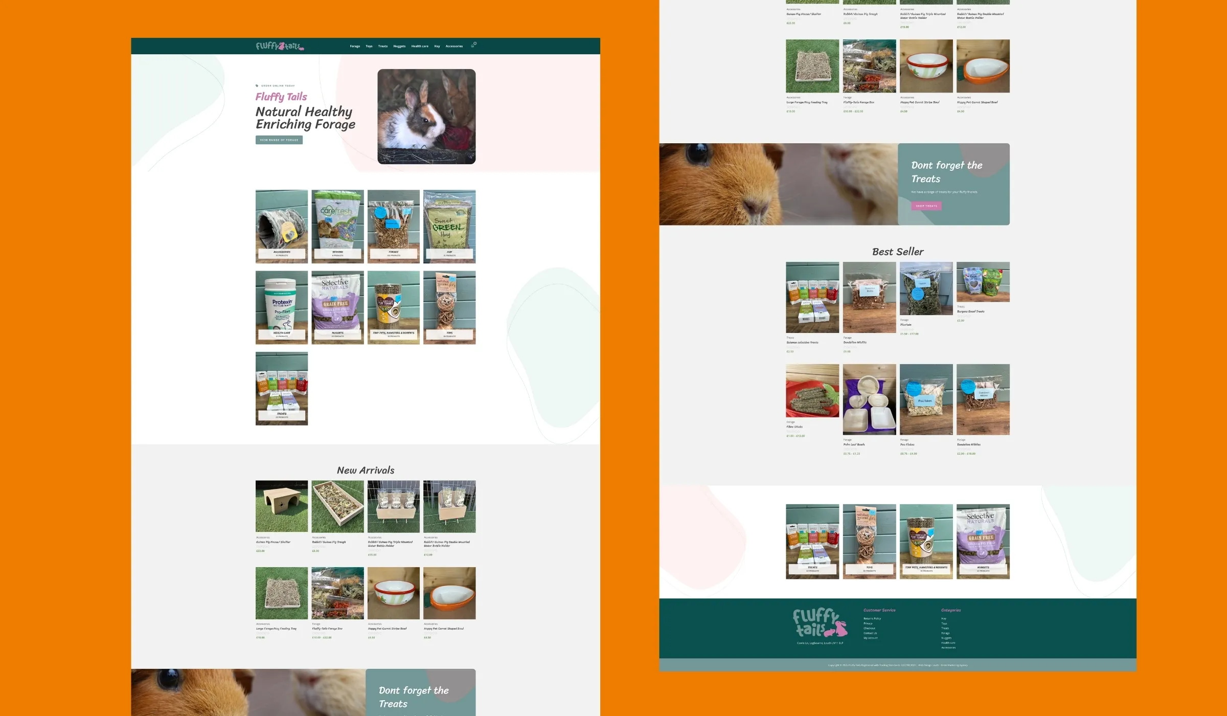 Fluffy Tails website design