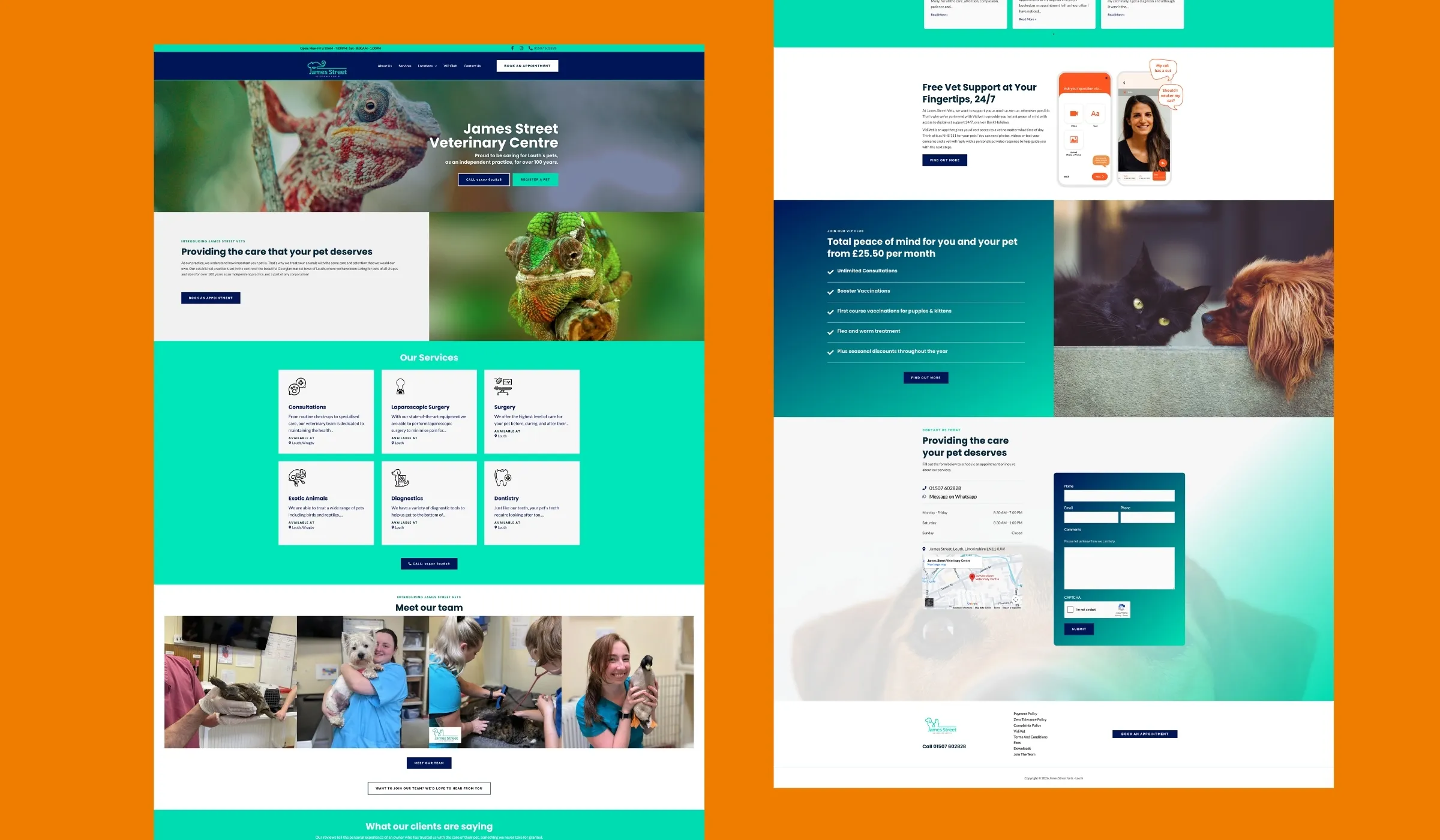 James Street Vets website on desktop