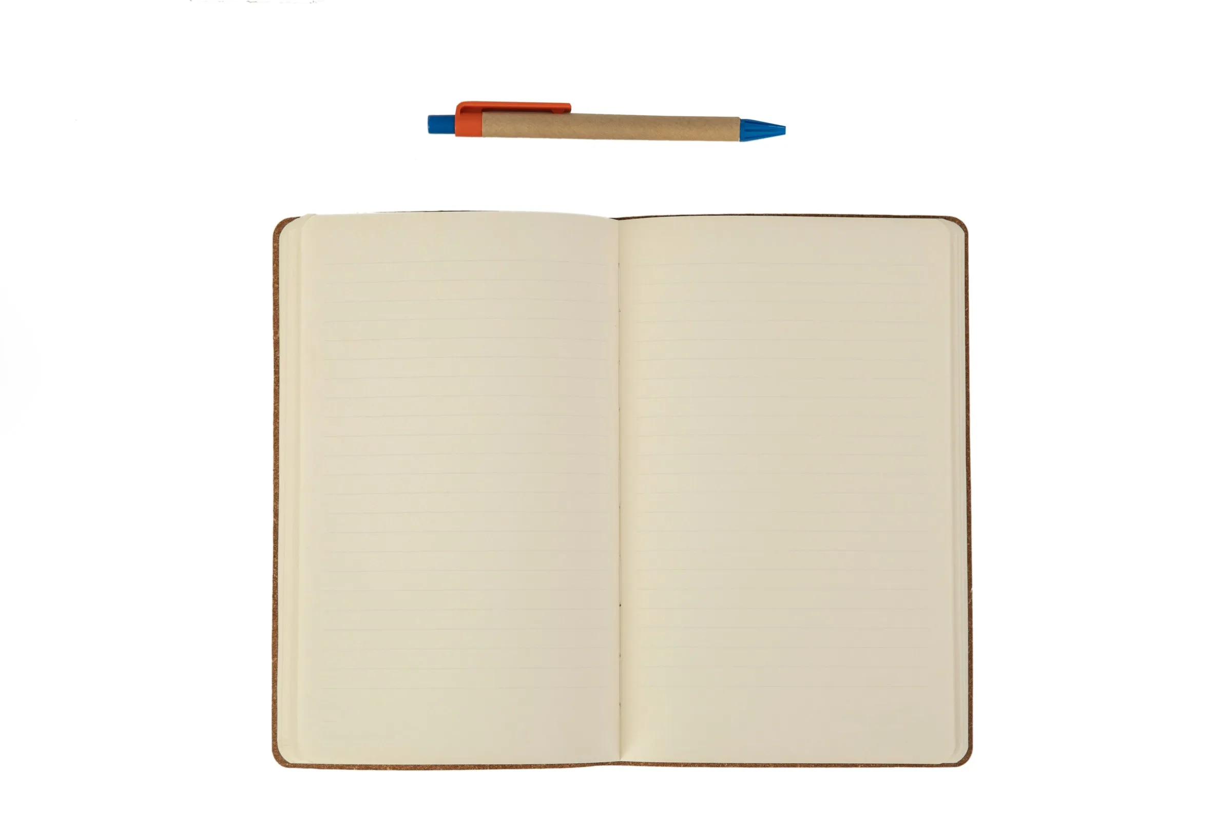 Blog Writing
